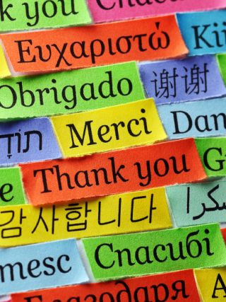 Professional Manuscript Translation