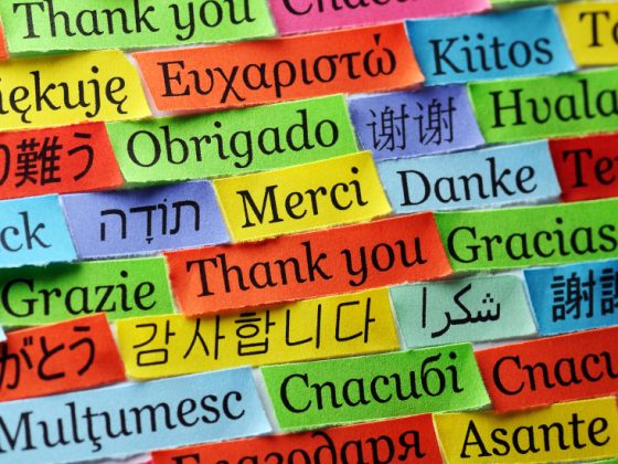 Professional Manuscript Translation