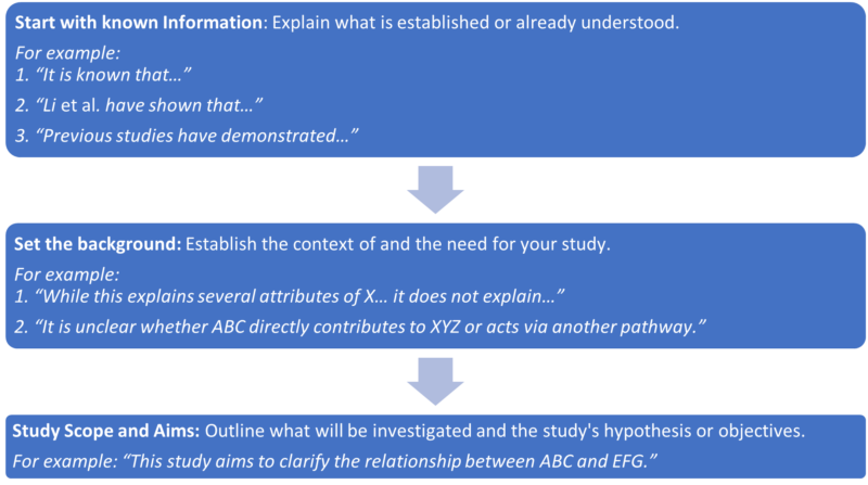 How to Structure Paragraph - Introduction